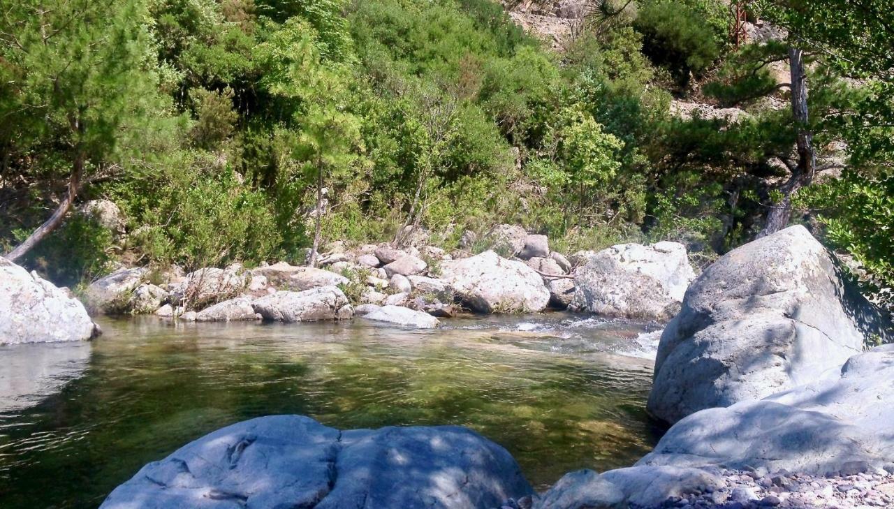Pietranera studio proche de la mer à 2km de Bastia Ville-di-Pietrabugno Exterior foto
